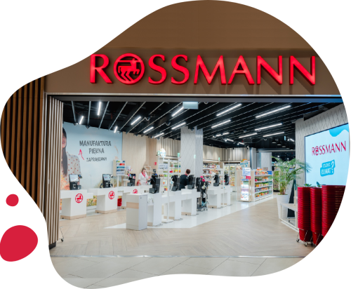 Rossmann ponownie w czołówce firm płacących podatki